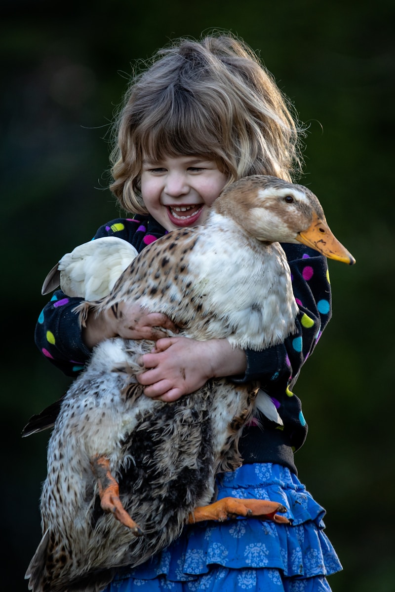 girl in blue and black jacket holding white and black duck